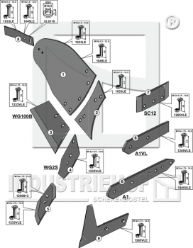 Preview: Körpertyp-BU1B